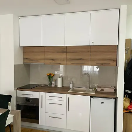 Apartment Zlatiborski Kutak *